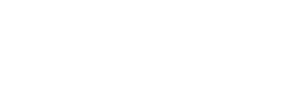 WAN LOGO